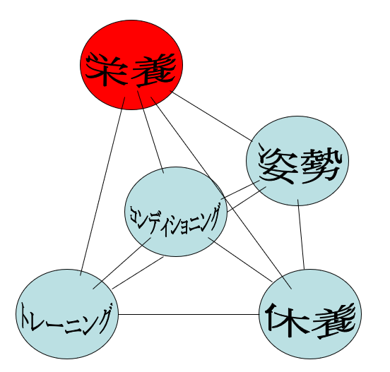 コンディショニングと四大要素との関係(二)