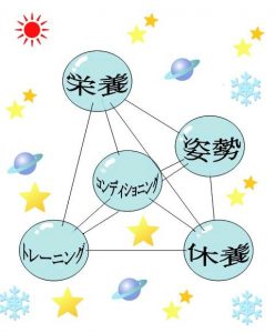 図１.トレーニングの正四面体