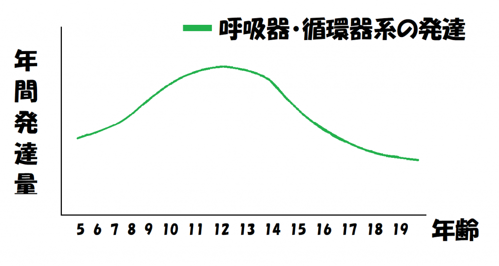 ②呼吸器・循環器系のゴールデンエイジ(11～14歳)は複雑な時期!?