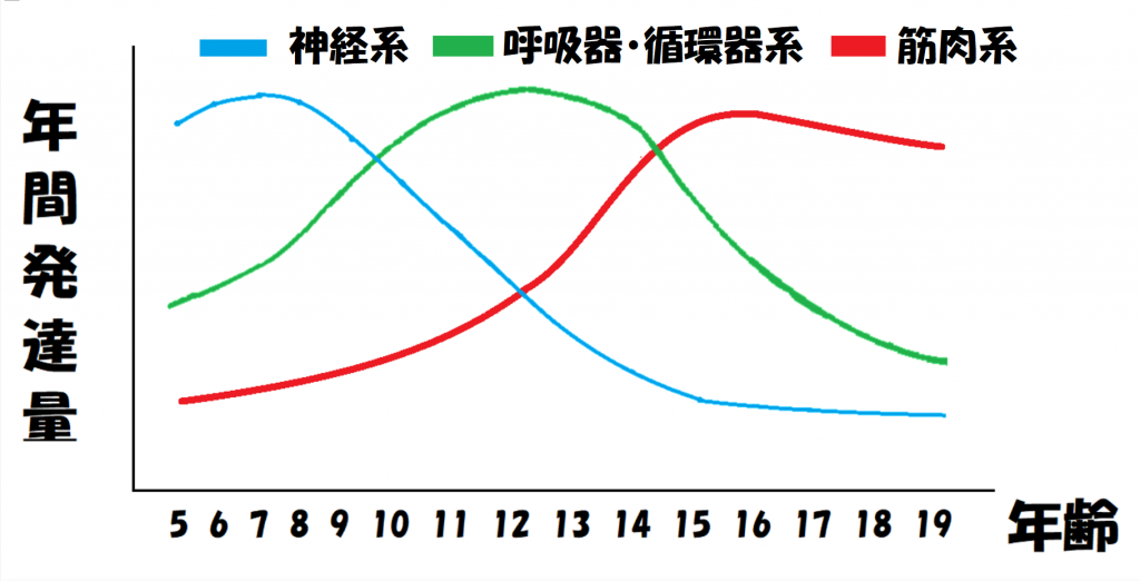 ③筋トレが成長の阻害になる!?ゴールデンエイジと筋トレの関係とは