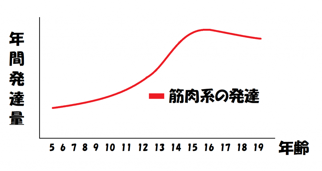 ④筋力系のゴールデンエイジ（16歳～）で筋トレが本格化!?やっと始まる体作り！