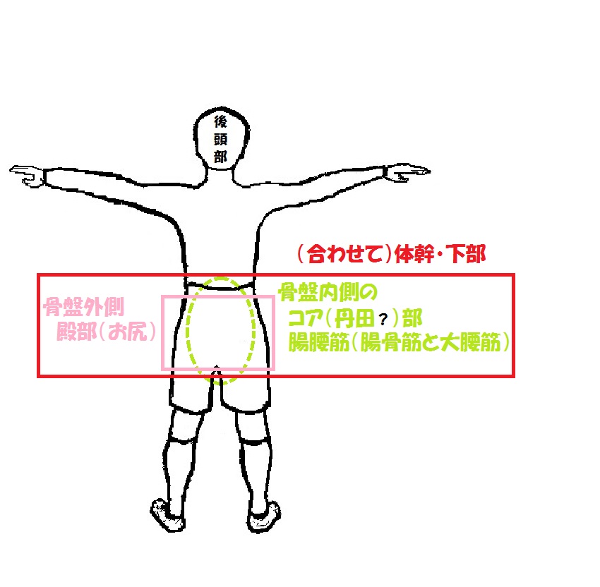 ①腸腰筋が全ての動作の源!?コアを明確に定義する！