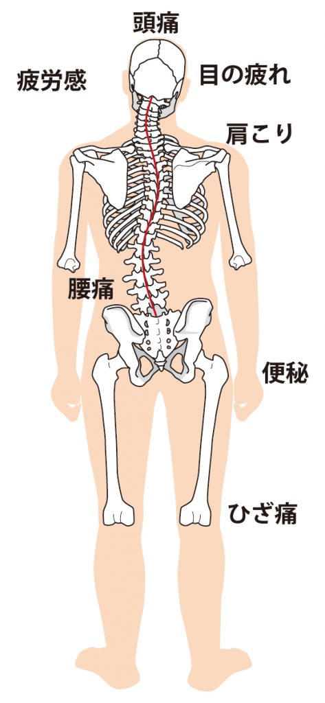 新たに加えるスポーツの二大要素