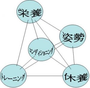 スポーツこれからの四面体要素